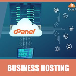 Business-Hosting-1 jpg